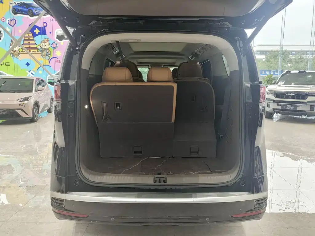 Denza Denza D9 — миниатюра 17