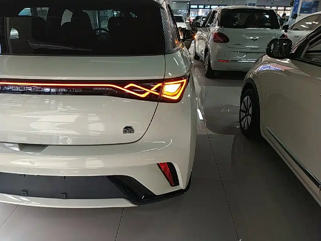BYD Dolphin — миниатюра 8