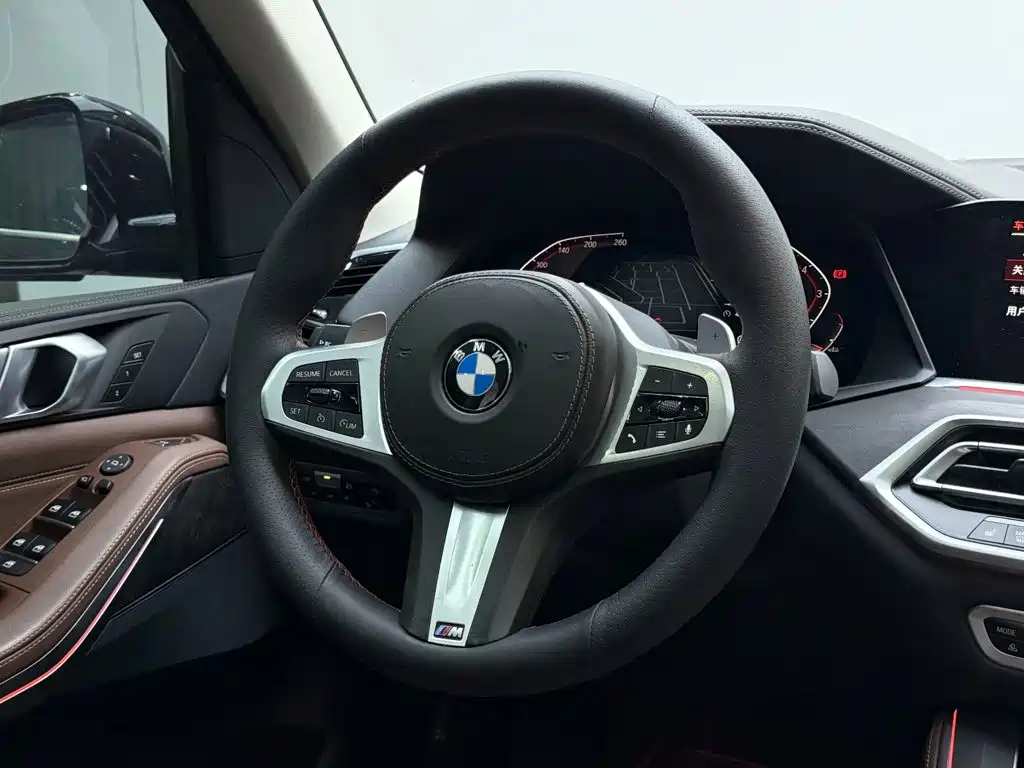 BMW X5 (Import) — миниатюра 10