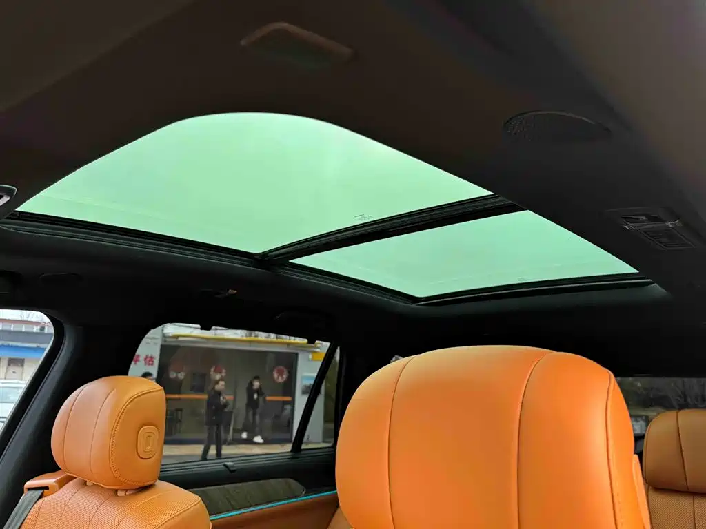 WEI PAI WEI BRAND BLUE MOUNTAIN