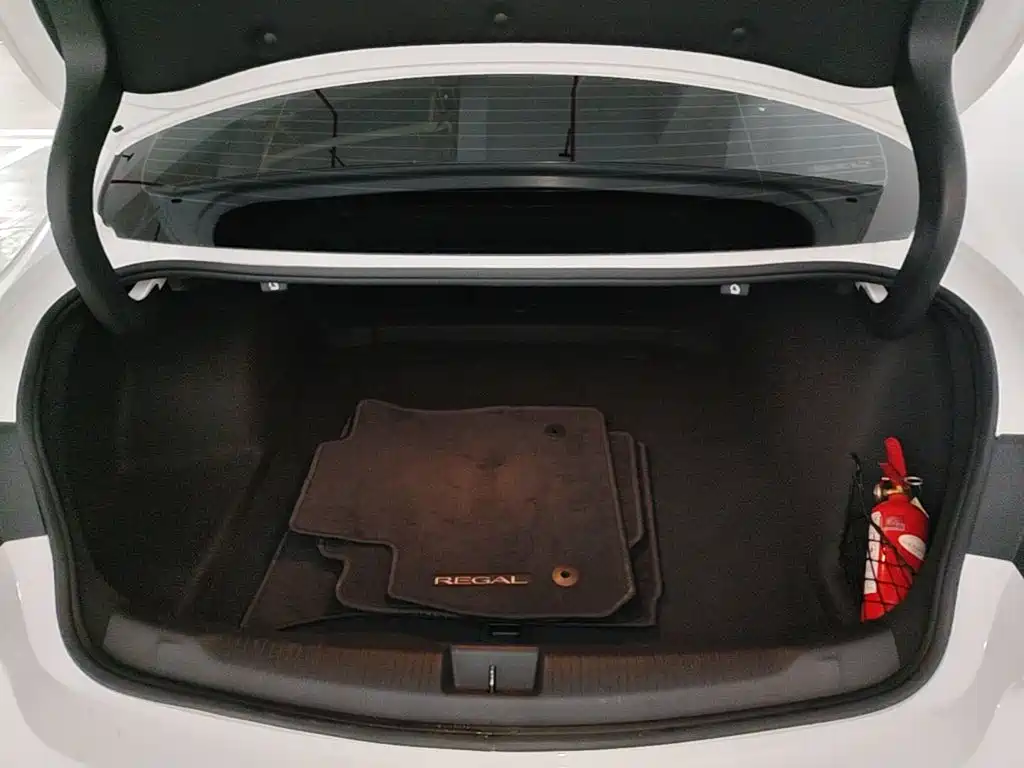 Buick Regal — миниатюра 19