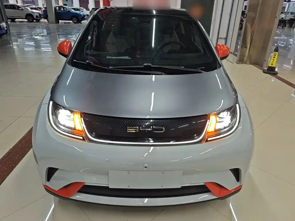 BYD Dolphin — миниатюра 3