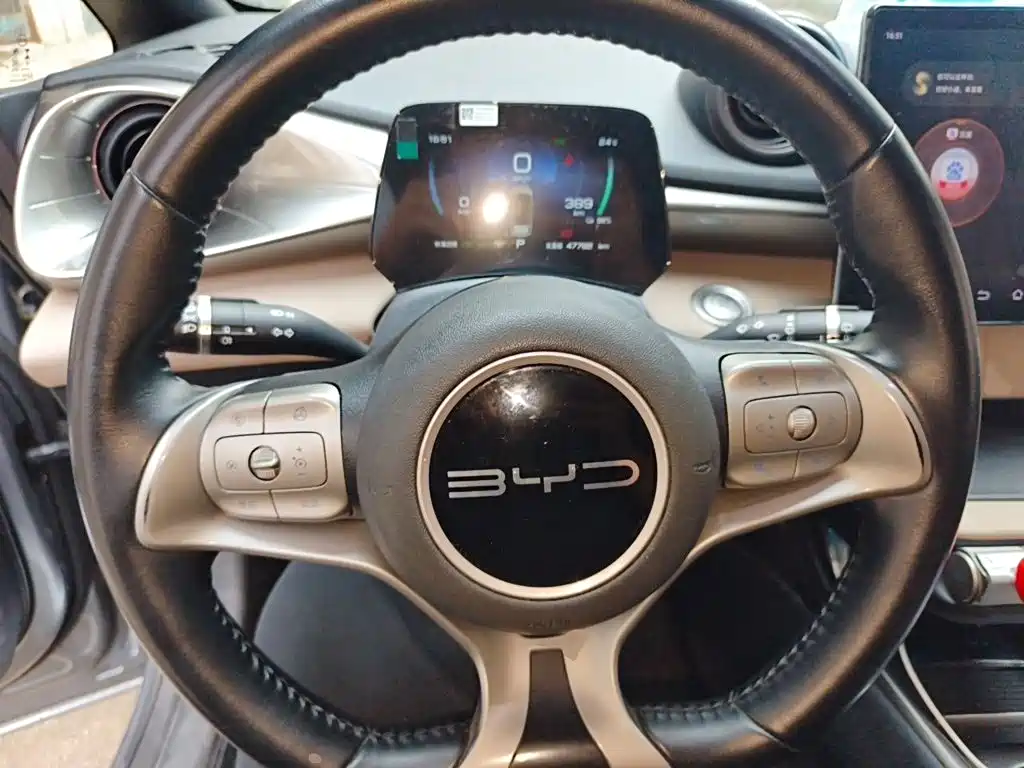 BYD Dolphin — миниатюра 3