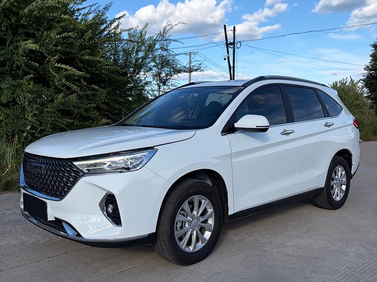 Haval Haval M6 1.5 л 2023 г. Белый, пробег 40000 км
