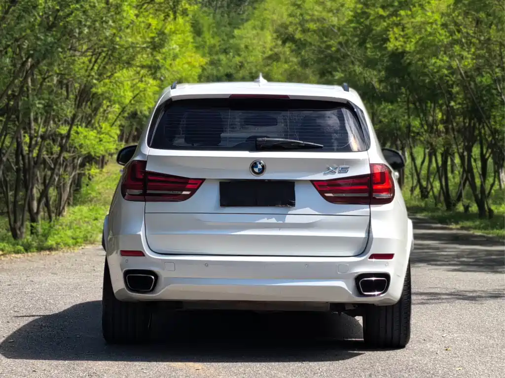 BMW X5 (Import) — миниатюра 5