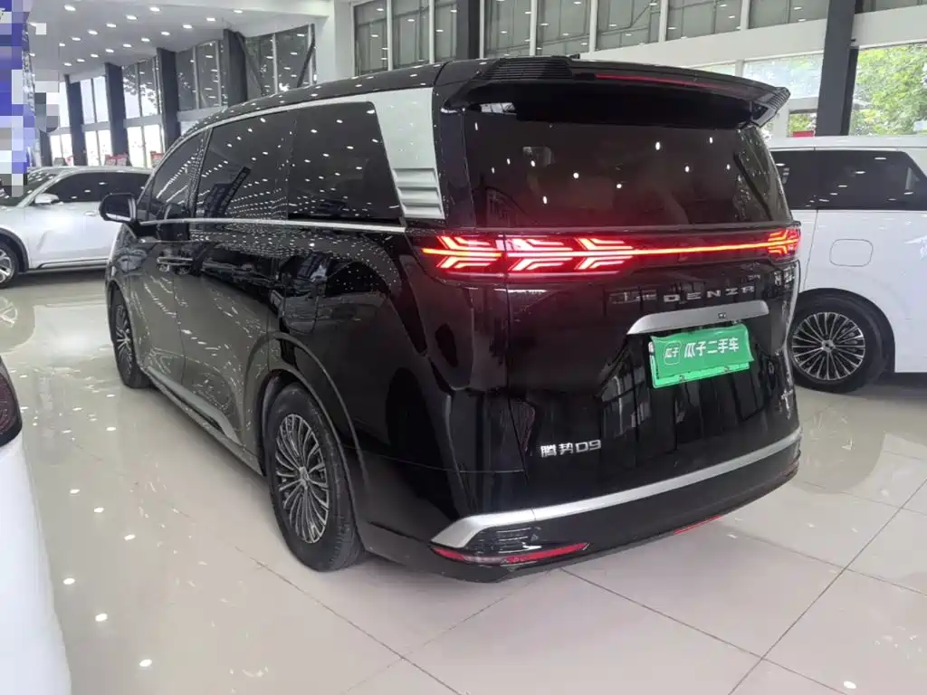 Denza Denza D9 — миниатюра 5