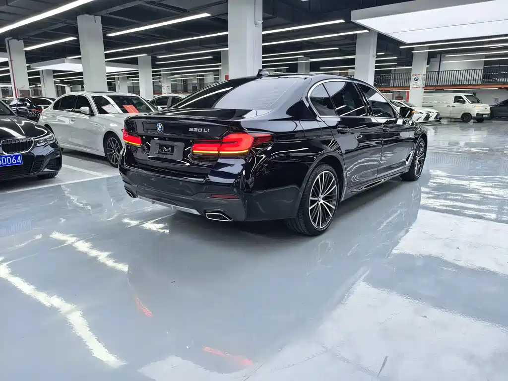 BMW 5 Series — миниатюра 16