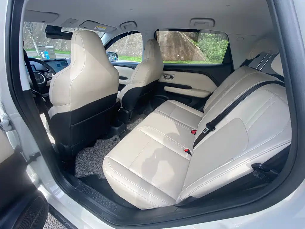 Wuling BinguoPLUS PLUS 2024 330km мест