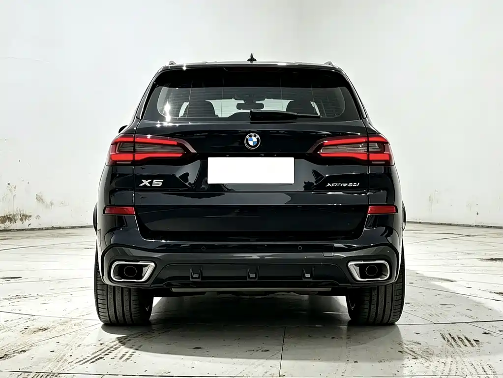 BMW X5 — миниатюра 8