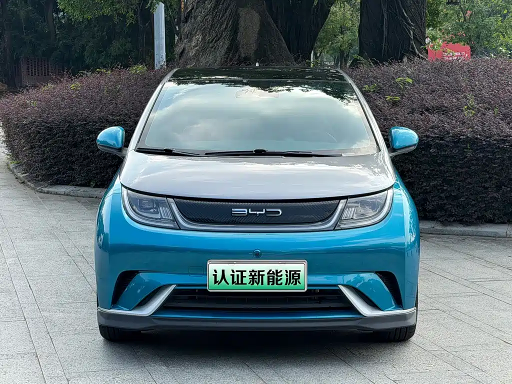 BYD Dolphin — миниатюра 2