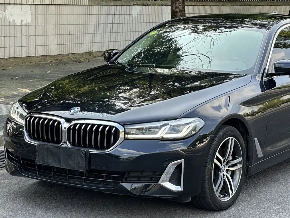 BMW 5 Series — миниатюра 3