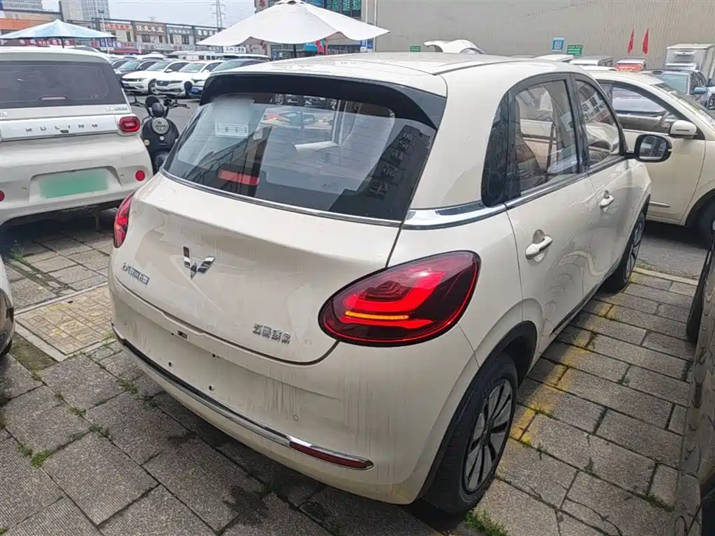 Wuling Binguo 2025 333km Enjoy