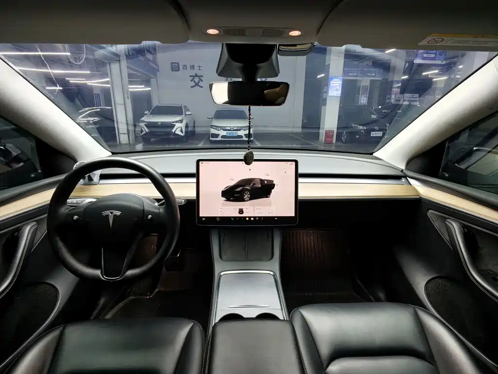 Tesla Model Y — миниатюра 4