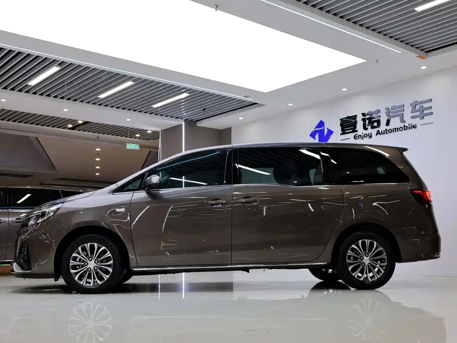 Buick GL8 — миниатюра 3