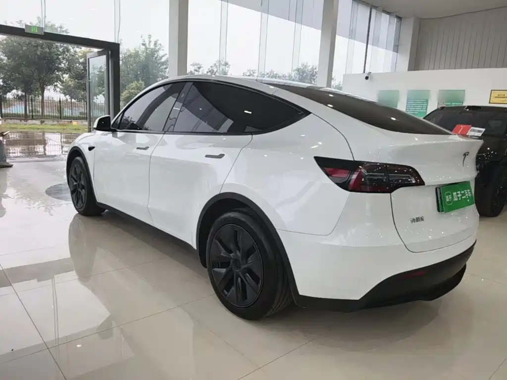 Tesla Model Y — миниатюра 5