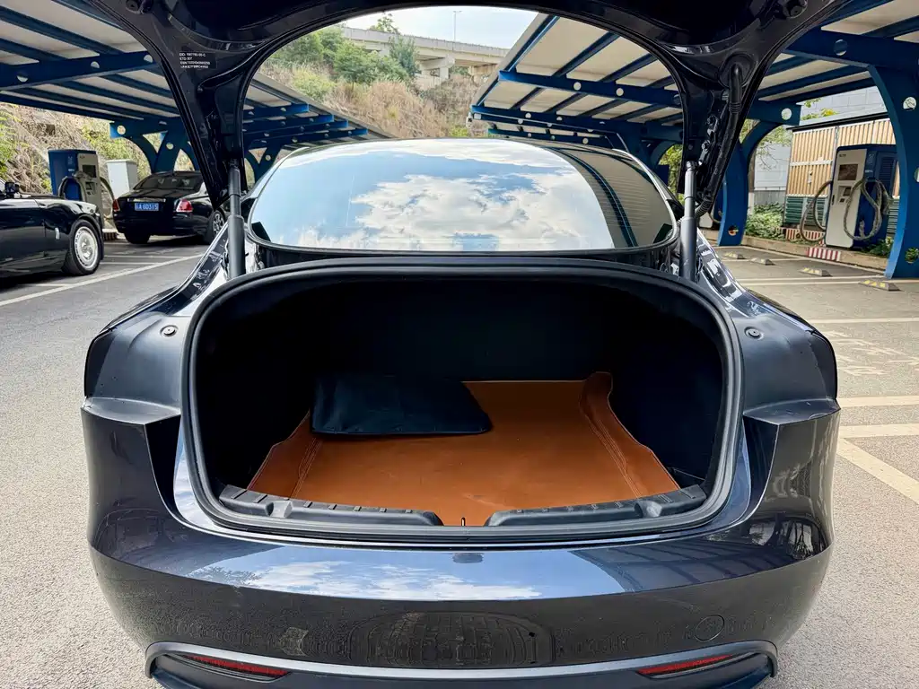 Tesla Model 3 — миниатюра 14