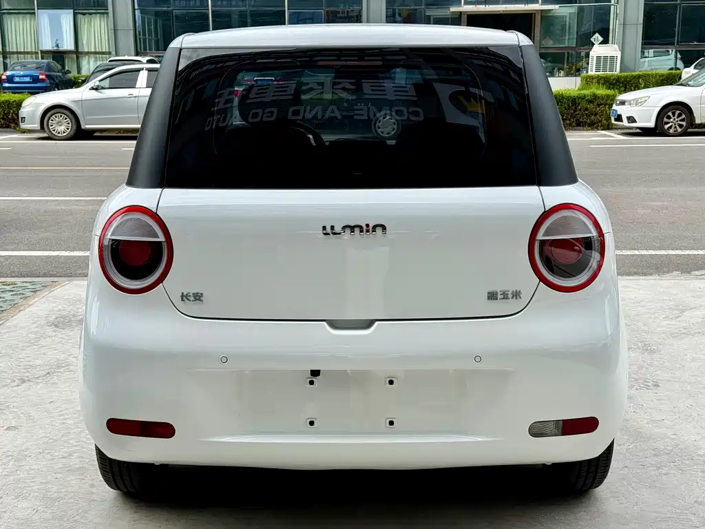 Qiyuan Lumin — миниатюра 5