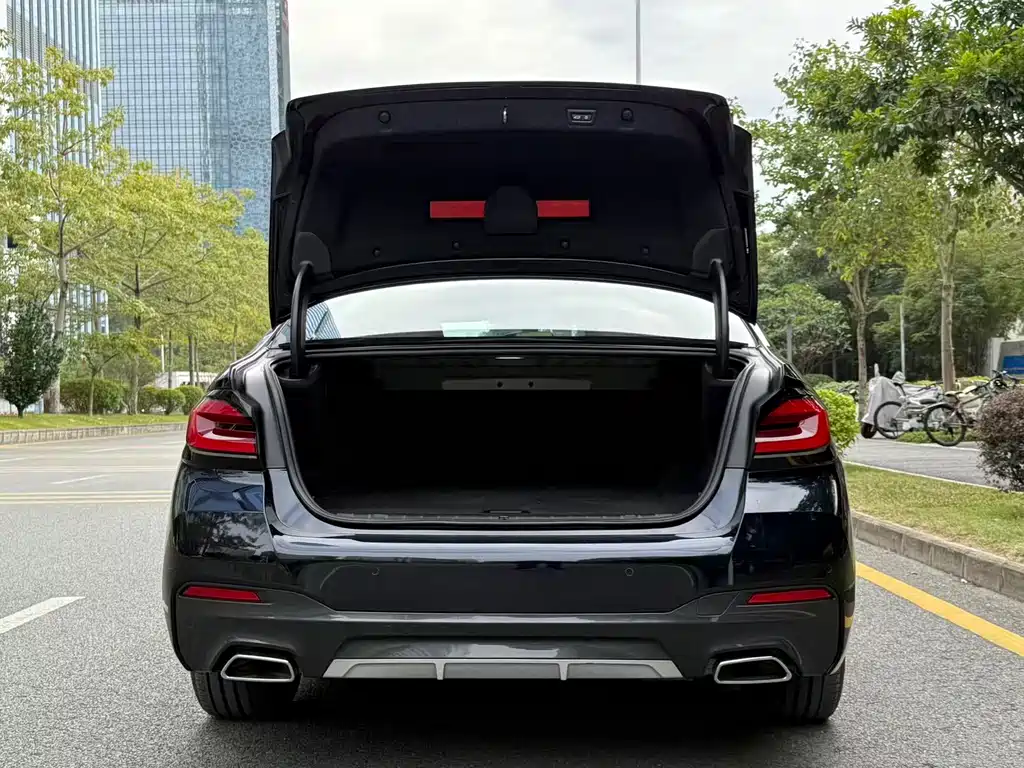 BMW 5 SERIES NEW ENERGY