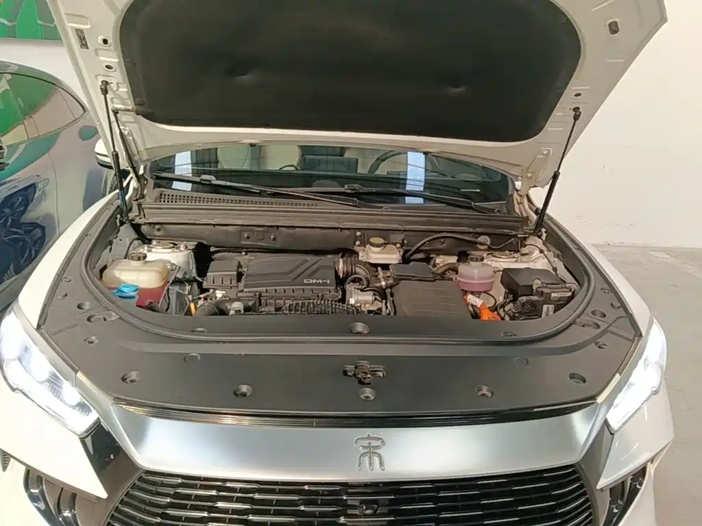 BYD Pro New Energy — миниатюра 20