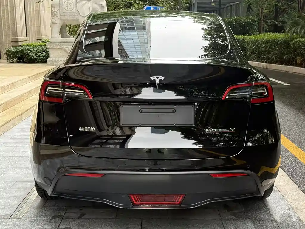Tesla Model Y — миниатюра 4
