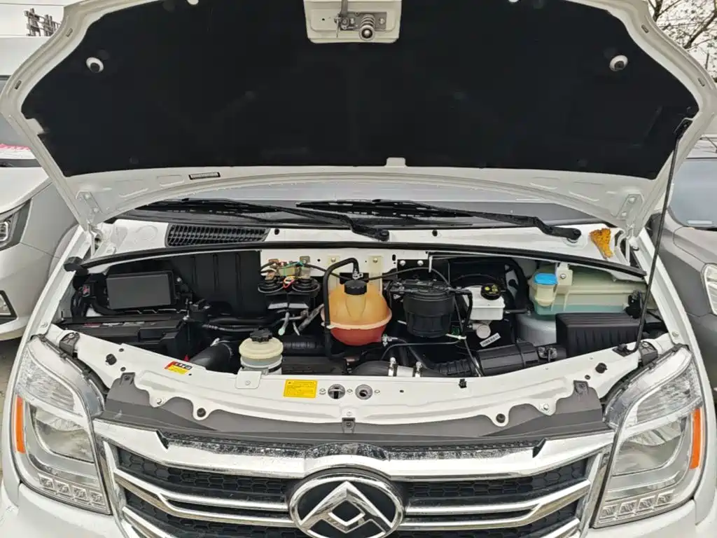 MAXUS V80 — миниатюра 20