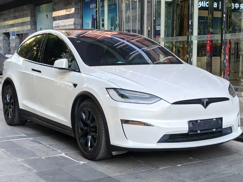 Tesla Model X — миниатюра 5