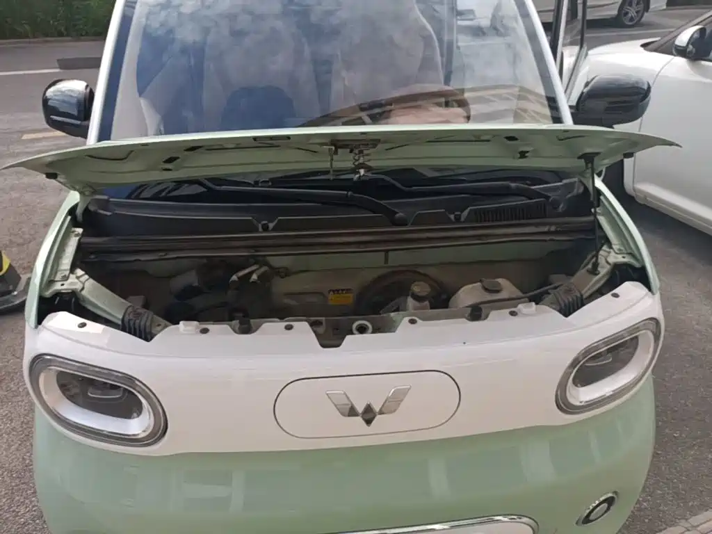 Wuling MINIEV — миниатюра 20