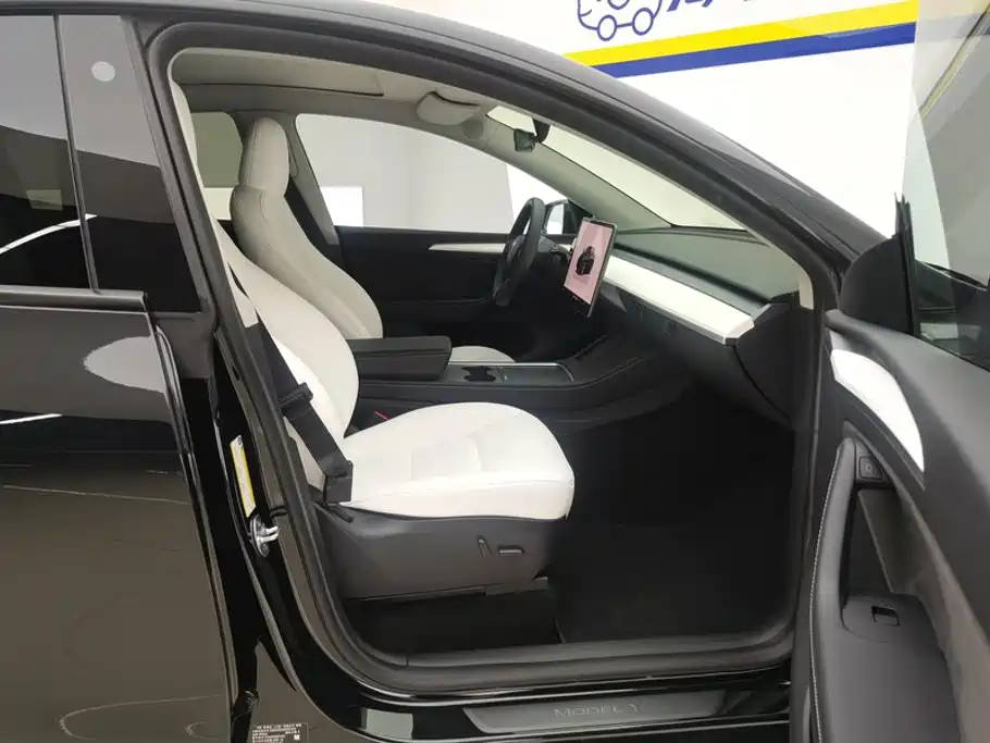 Tesla Model Y — миниатюра 8