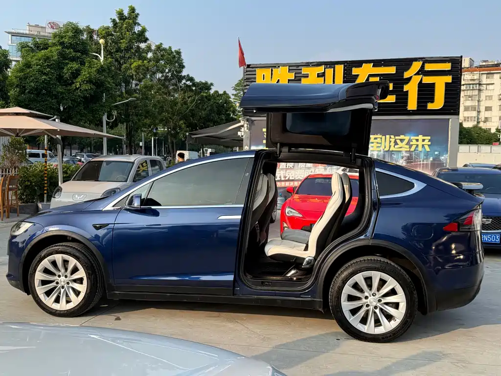Tesla Model X — миниатюра 4