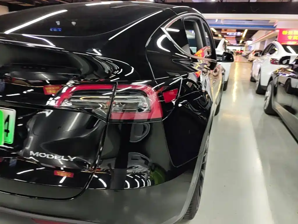 Tesla Model Y — миниатюра 8