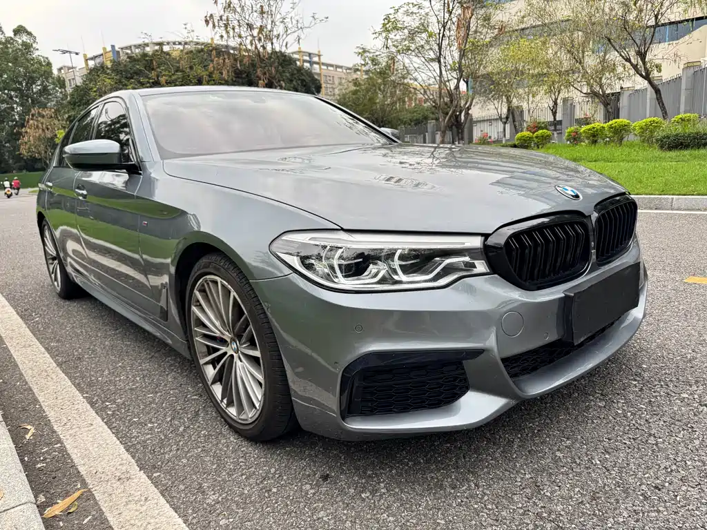 BMW 5 Series (Import) — миниатюра 3