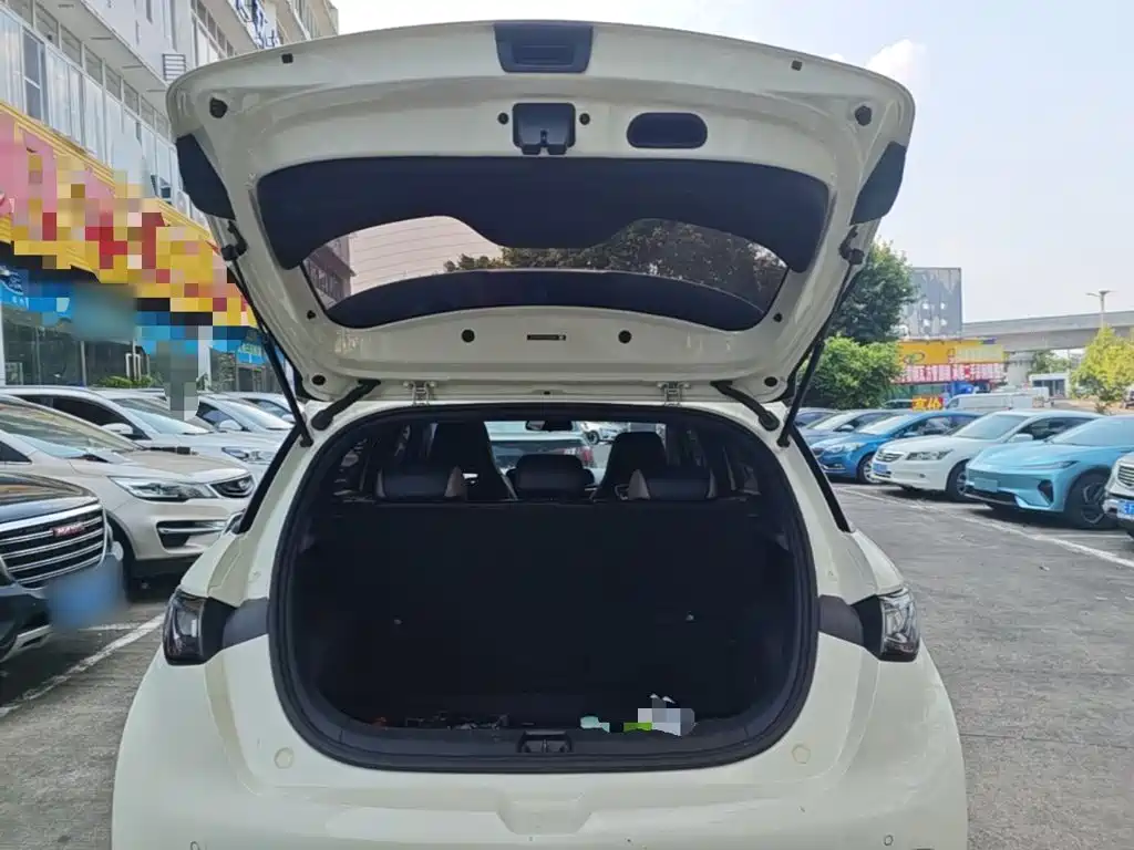 BYD Dolphin — миниатюра 19