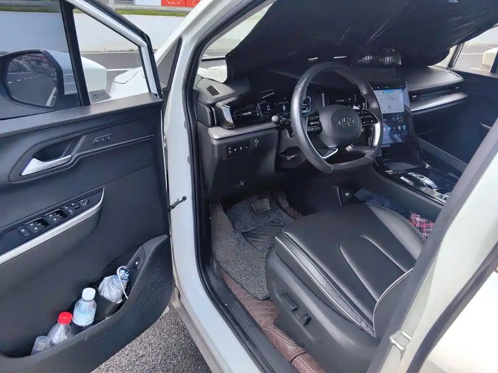 Hyundai Custo — миниатюра 12