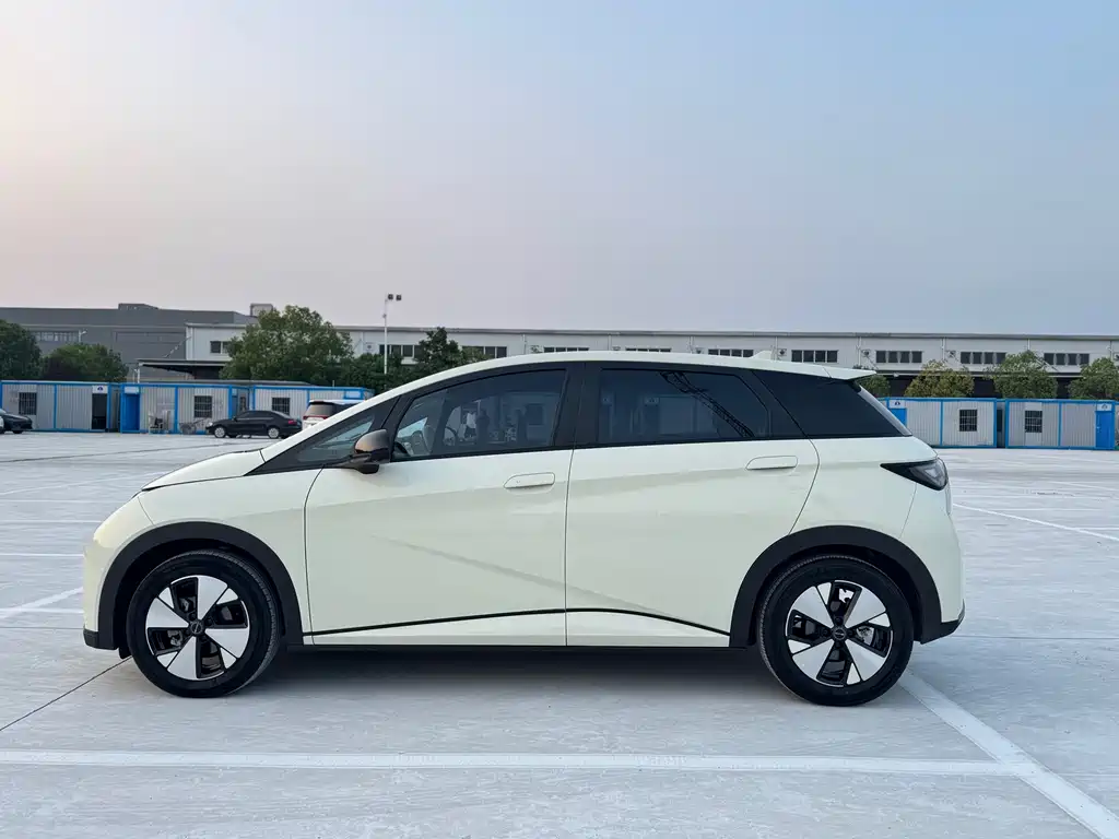 BYD Dolphin — миниатюра 6