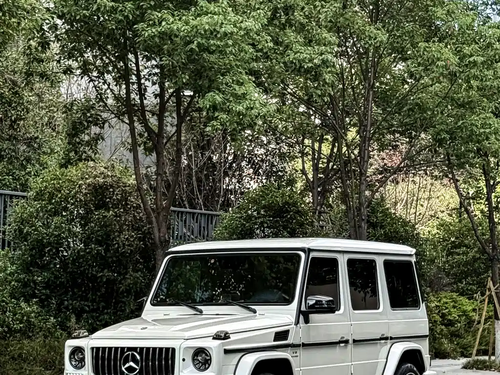 MERCEDES-BENZ G CLASS