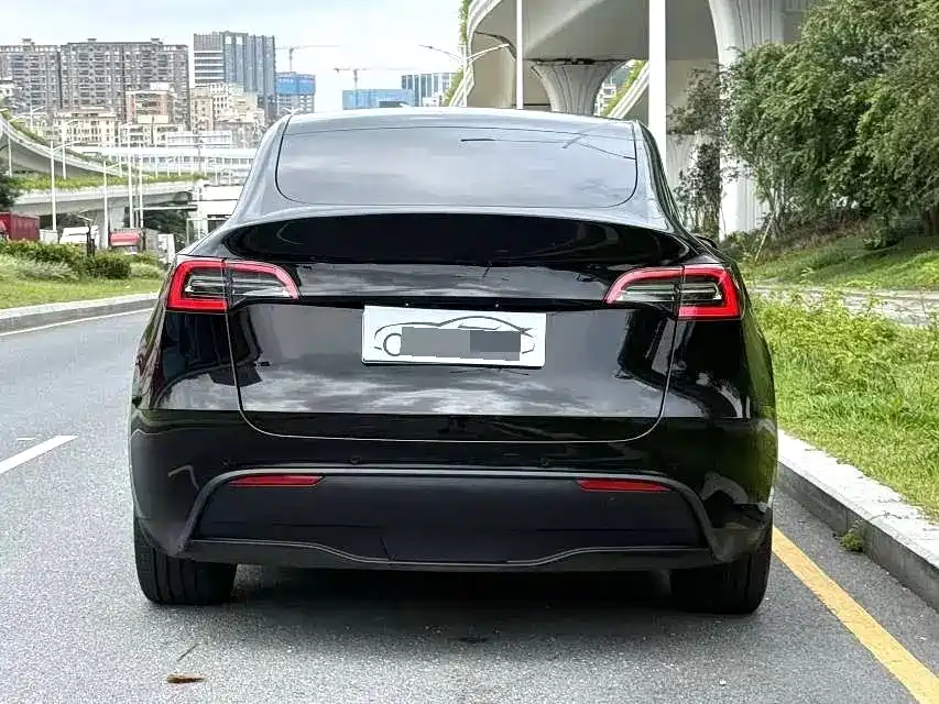 Tesla Model Y — миниатюра 5