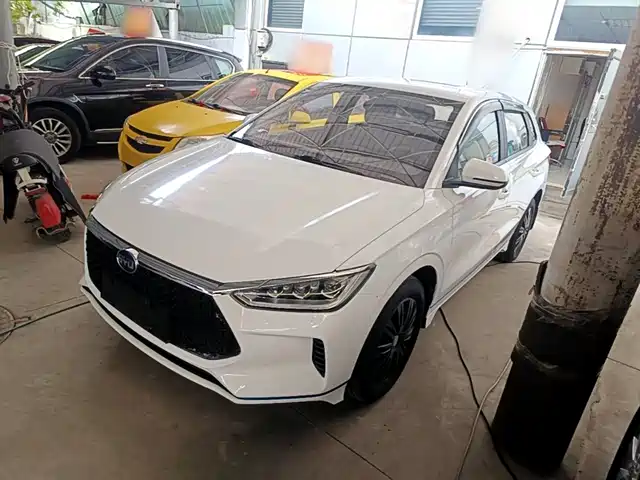 2019 BYD e2
