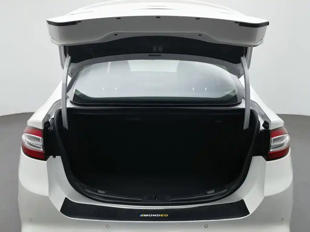 Ford Mondeo — миниатюра 16