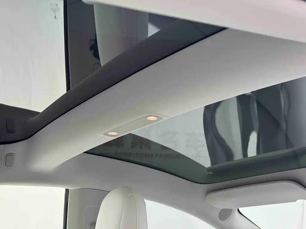 Tesla Model 3 2021 3D6