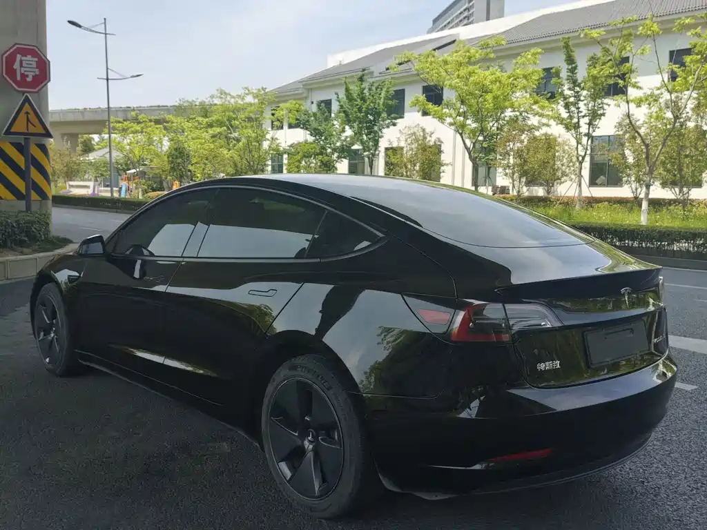 Tesla Model 3 — миниатюра 5
