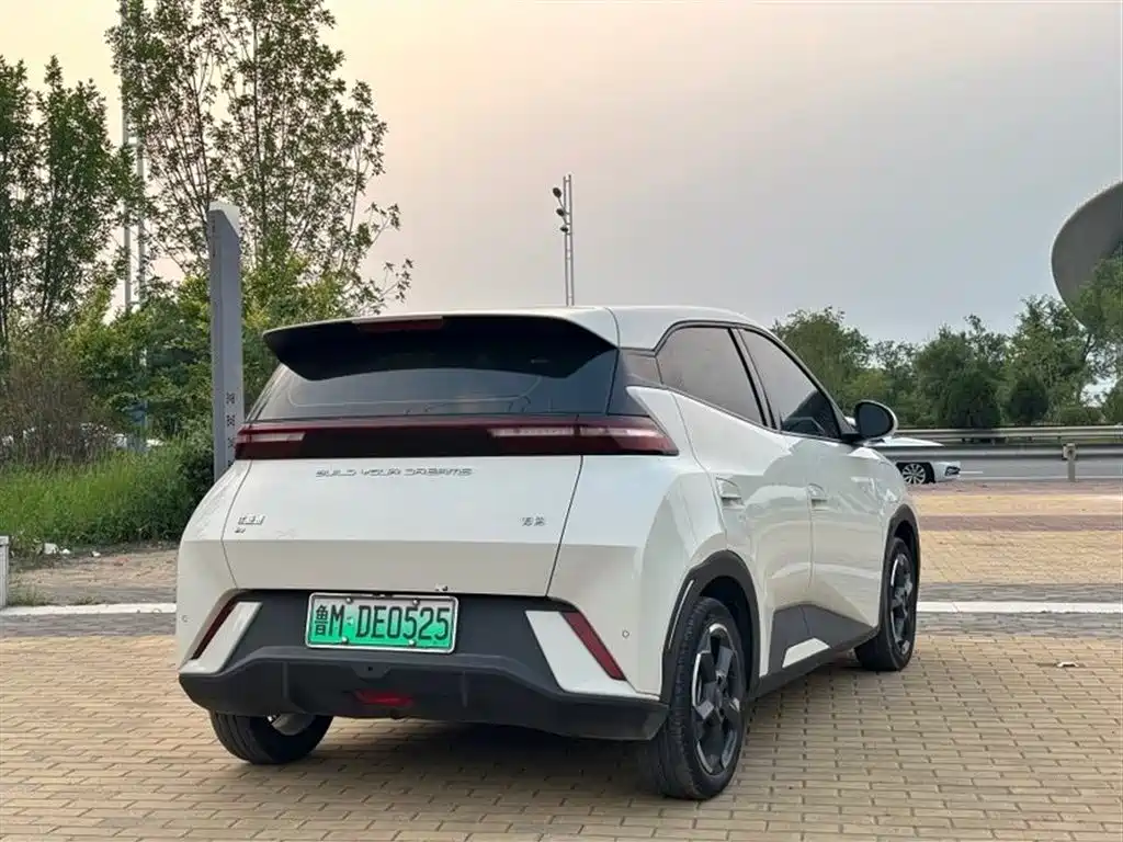 BYD Seagull
