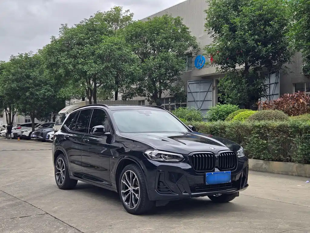 BMW X3 — миниатюра 3