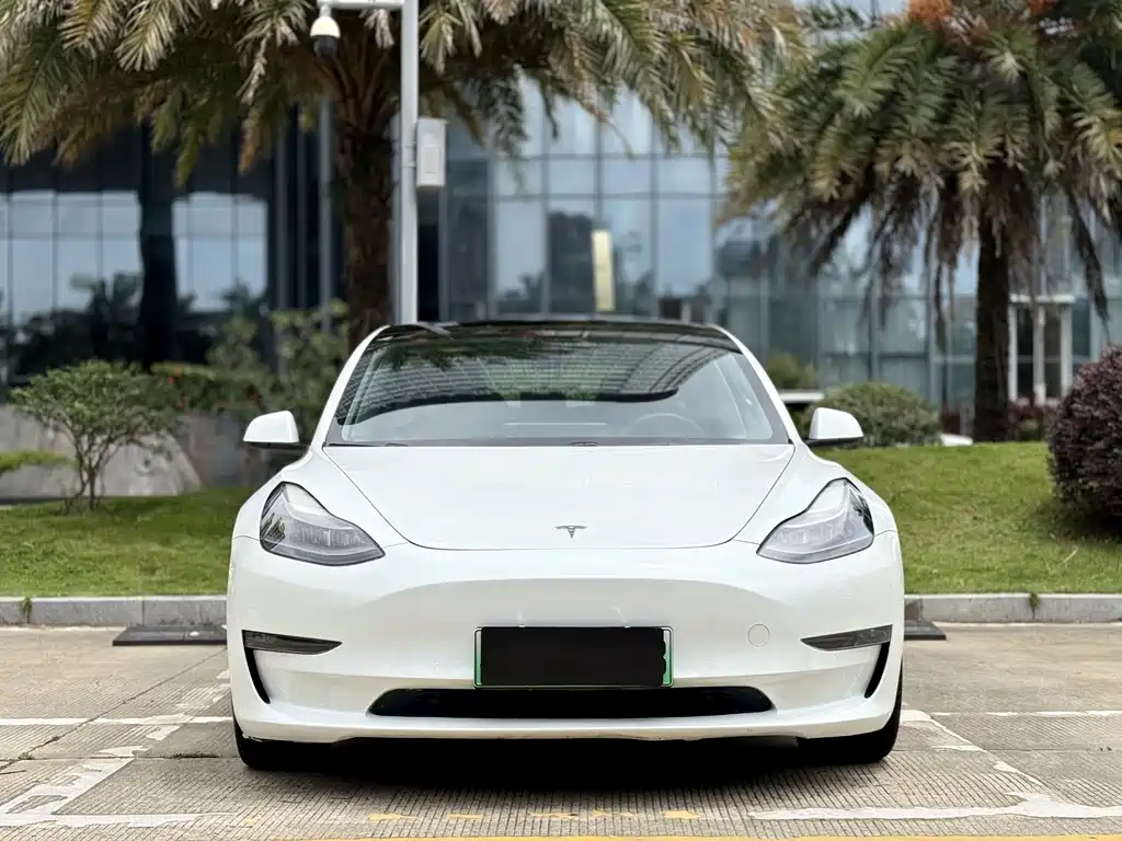 Tesla Model 3 2021 Performance