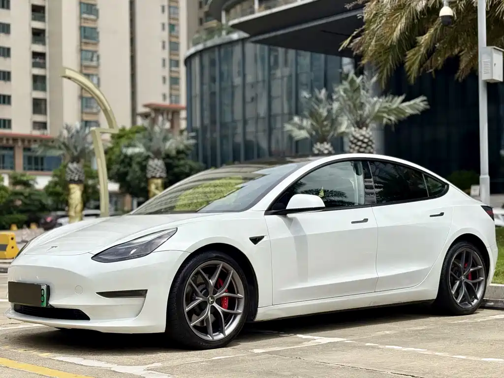 Tesla Model 3 2021 Performance