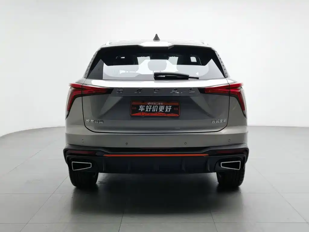 Haval Shenshou — миниатюра 4
