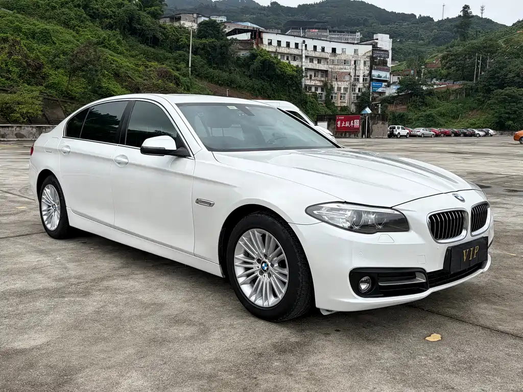 BMW 5 Series 5 2014 525Li Lead