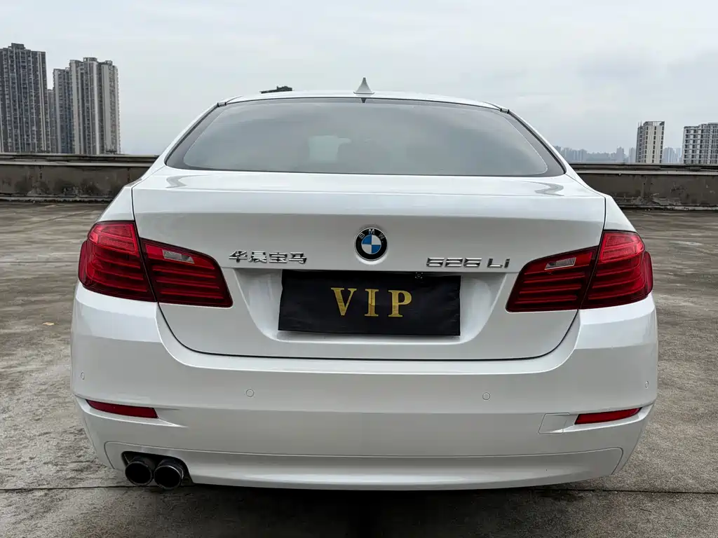 BMW 5 Series 5 2014 525Li Lead