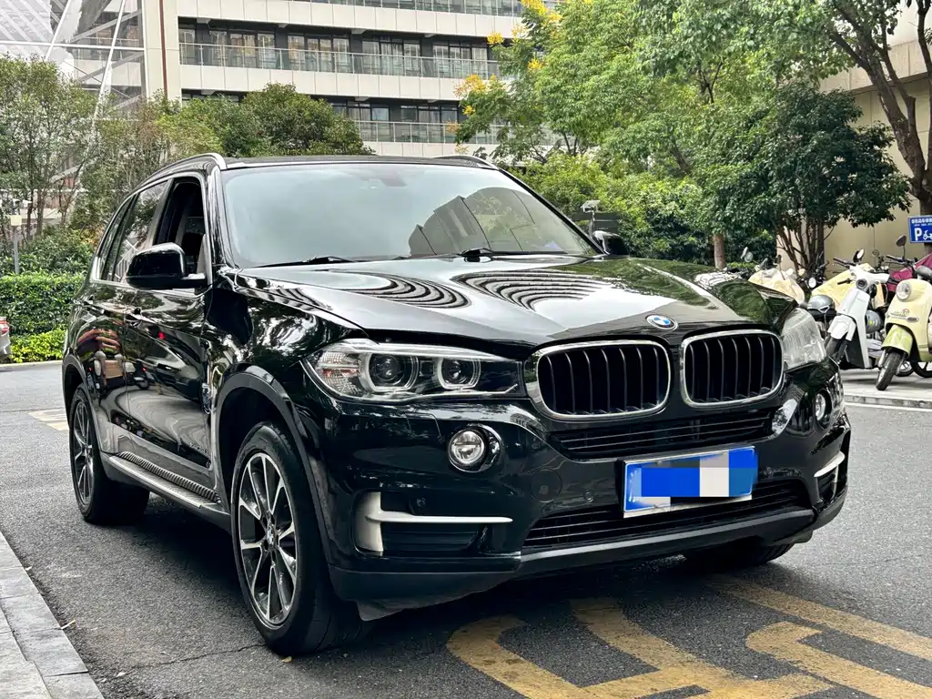 BMW X5 (Import) — миниатюра 2