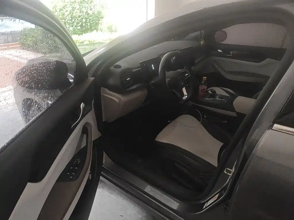 BYD Qin PLUS — миниатюра 12