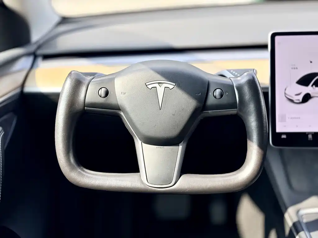Tesla Model Y — миниатюра 8